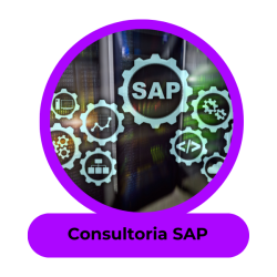 Img Consultoria SAP Staff Augmentation