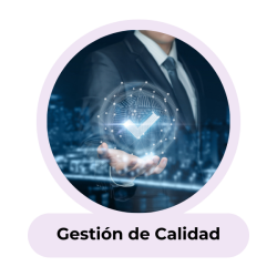 Img Gestion de Calidad Staff Augmentation